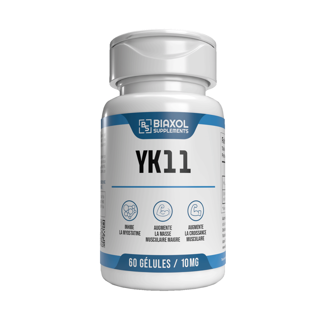 YK11