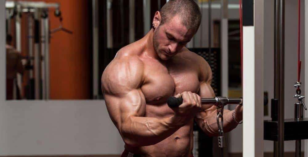 Men training biceps in the gym