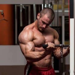 Men training biceps in the gym